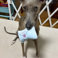 お手紙