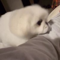 元気をもらえたかも！？