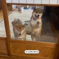 それぞれのやり方で熱烈歓迎♪