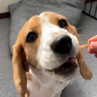 出勤前のママさんとメイちゃん6