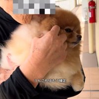 おばあちゃんに抱っこされるちょっちゃん