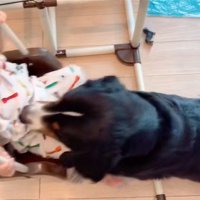 女の子を見守るダンロくん5