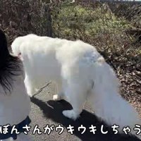 ぼんぼんちゃんがはしゃいじゃって…