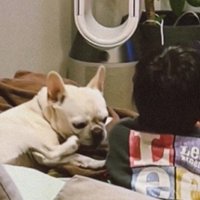 じゃれあう2人にキュン♡