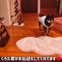 玄関でお出迎え