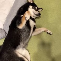 明らかに不満そう！