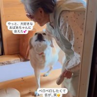 ララちゃんとユーザーさんの再会2