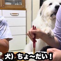 「ちょっとだけ……」