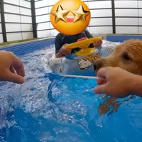 「僕が連れて行くよ！任せて！」