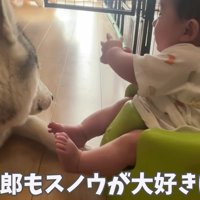 スノウちゃんに触りたい