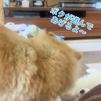 怒るキャシーちゃん