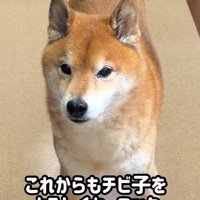 頼もしいお兄ちゃんになったね