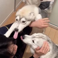 「おかえりぃぃ」