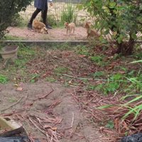 天国のような光景…♡