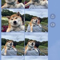 抱っこ