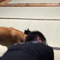 再び2人の間に割り込むももちゃん