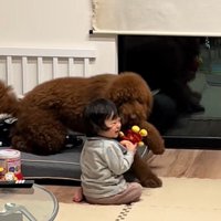 きんとん君VS男の子9