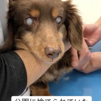 つらすぎる過去