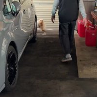 終わらない戦いに爆笑♪