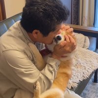 男性の手で顔を包まれる小雨ちゃん