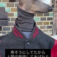 お散歩中、寒そうだったので…