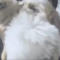 声とのギャップ