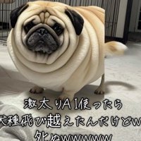 まるまると太った立派なパグ