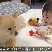 子守りも欠かさない