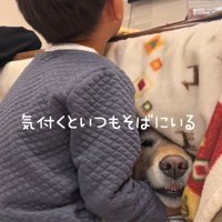 気付くといつもそばにいる