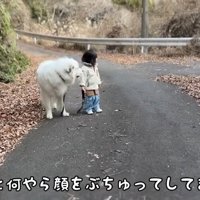 シュシュちゃんも立ち止まる
