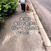 犬を散歩させる女の子の後ろ姿