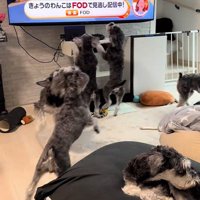 飛び跳ねて大はしゃぎ！