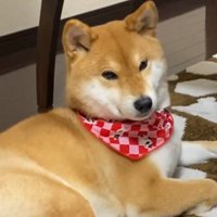 「お兄ちゃん」と言うと玄関を見て…