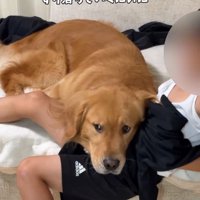 ずり落ちそうな男の子