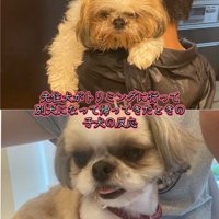 ちっちちゃんのビフォーアフター