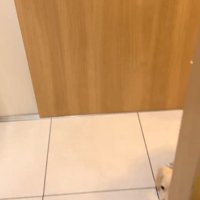 キッチン入ってくる子犬