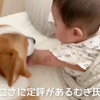 めげずにペロペロ♡