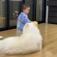 男の子と遊ぶこはくちゃん