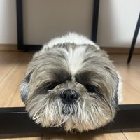 まん丸