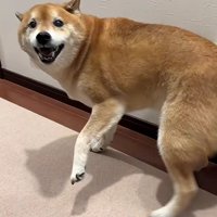 おばあちゃんを見つけたとき