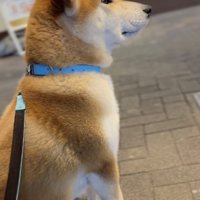 パパじゃなかった