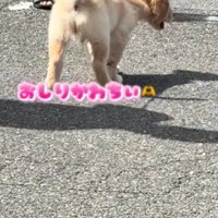 とってもにぎやか！