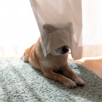 笑かす