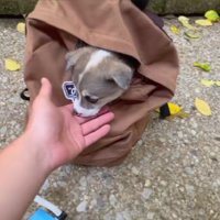 リュックに入れて…