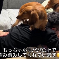 ママさんと一緒に背中をふみふみ♪