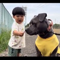 おままごとに付き合うあおいくん