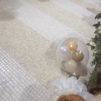 きなこちゃんがリングドッグに挑戦6