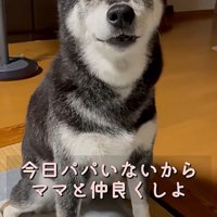 ママの話を聞くこうめちゃん