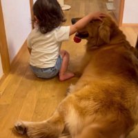 手が届かない…