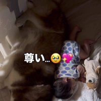 ずっと見ていたい…